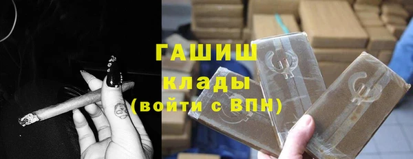 гидра Горняк
