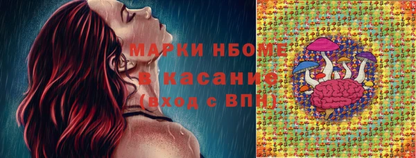 гидра Гусь-Хрустальный