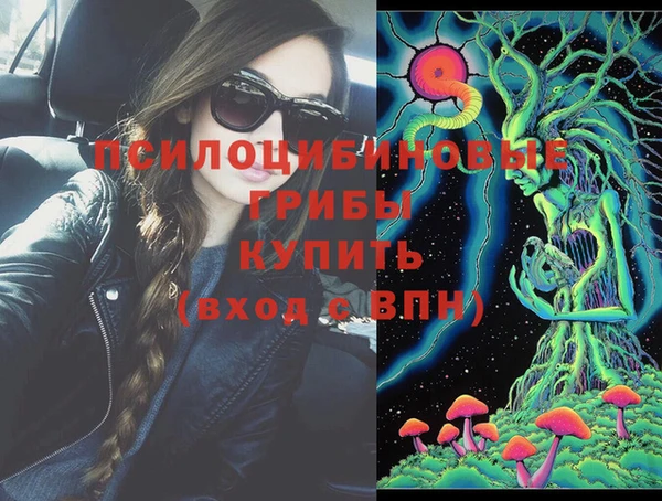 гидра Горняк