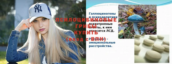 гидра Гусь-Хрустальный